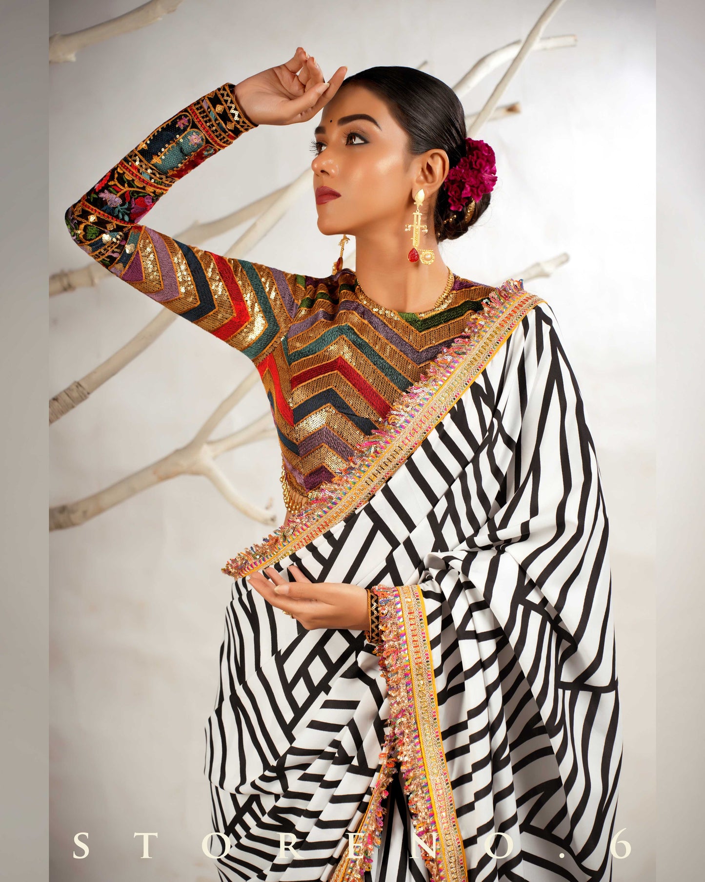 THE WIZARD'S SHOW SAREE