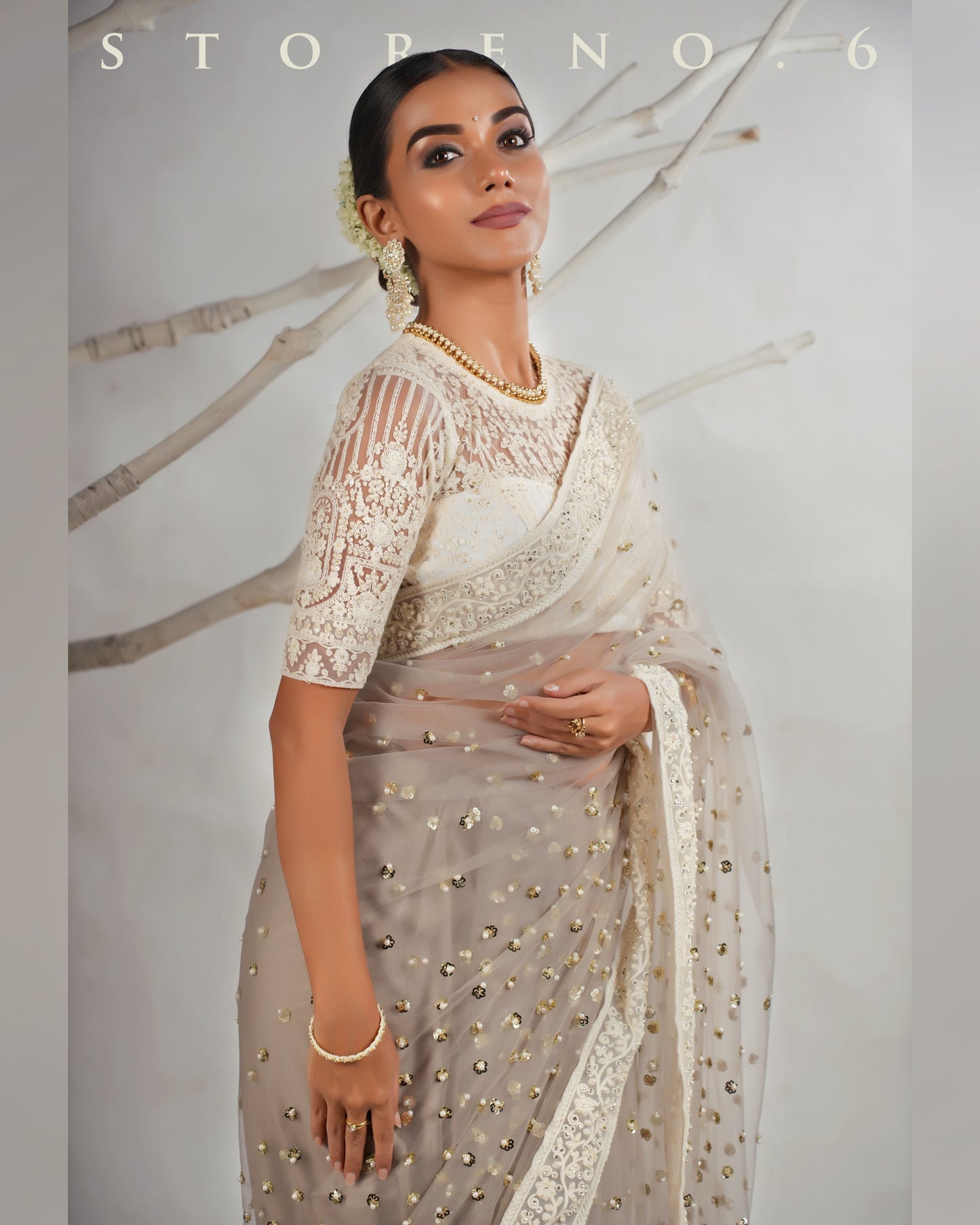 THE AGELESS ASH SAREE