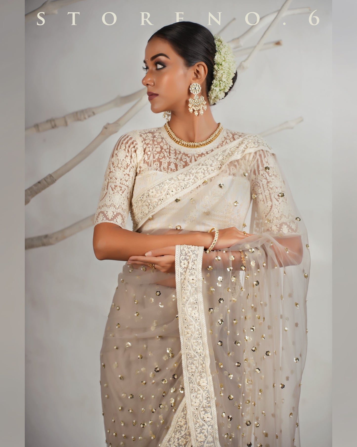 THE AGELESS ASH SAREE