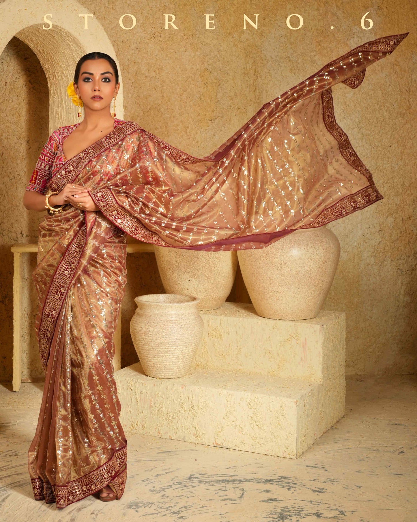 CINNAMON CHARM SAREE
