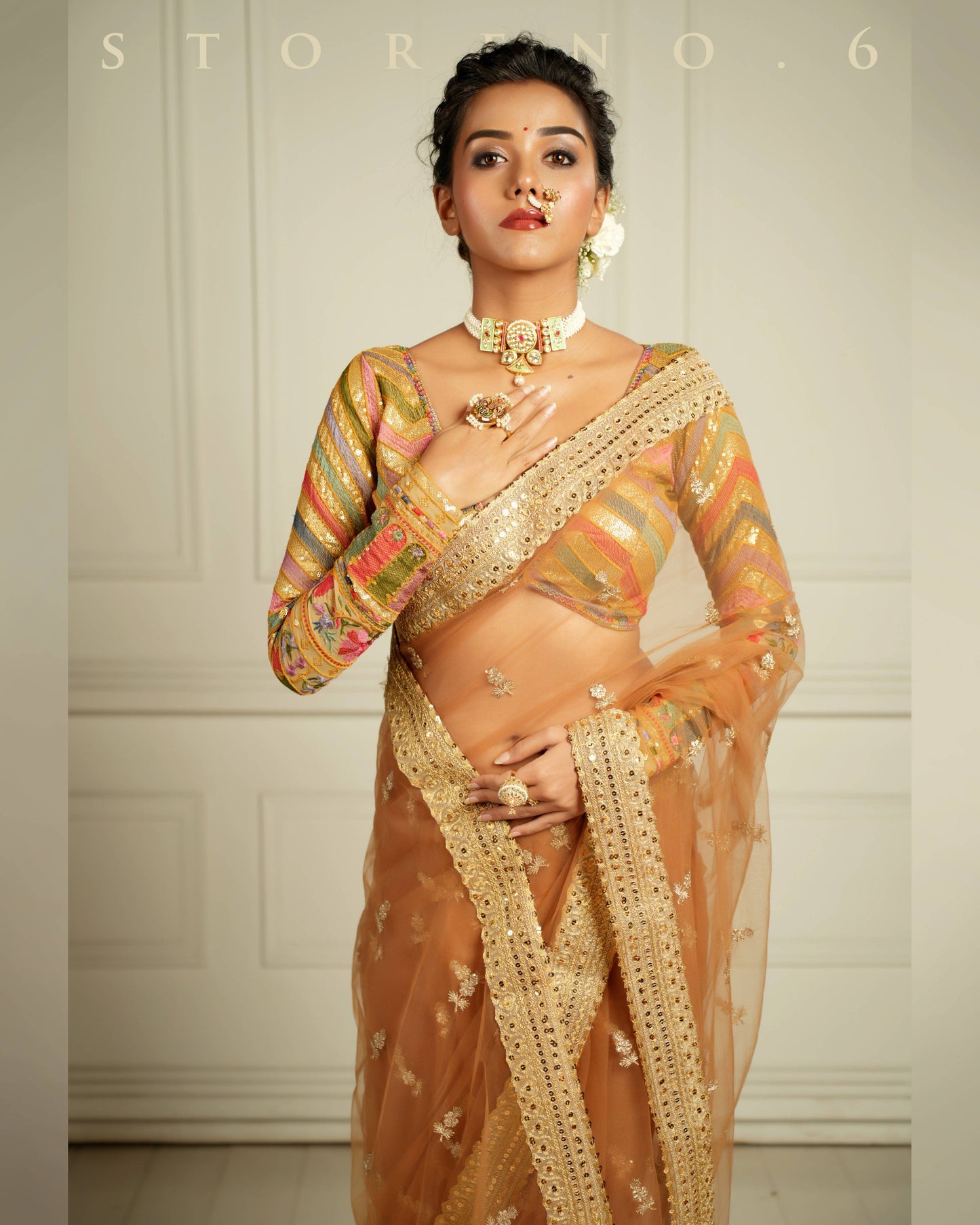 THE QUEEN'S EXOTIC EXPRESSO SAREE