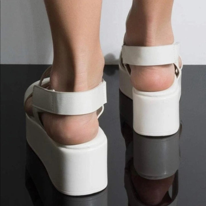 Modern Elite Maven Wedges