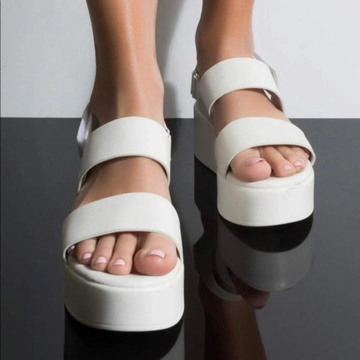 Modern Elite Maven Wedges
